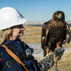 Nova, the Golden Eagle (Photo: Dennis Schroeder/National Renewable Energy Lab)